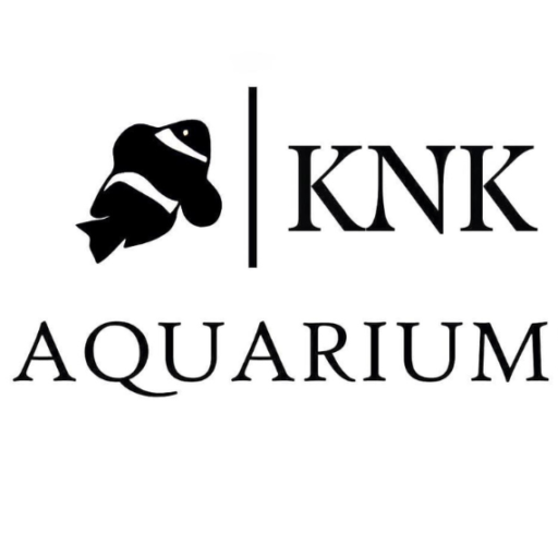 knkaquarium