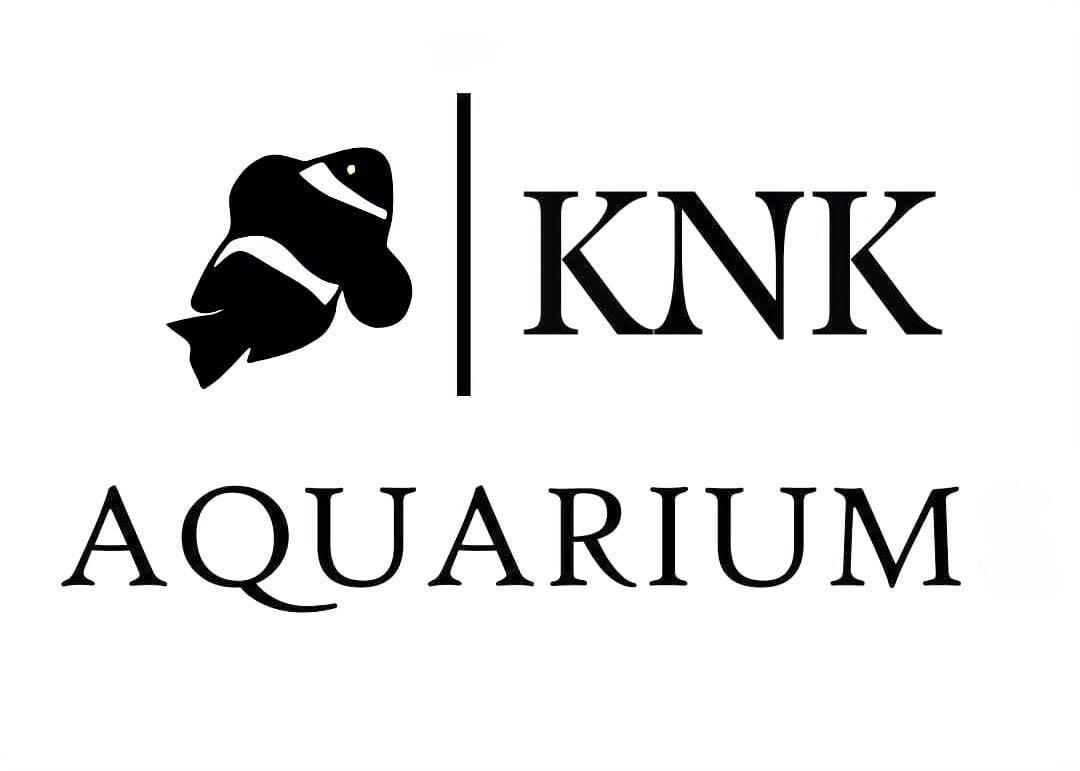 knkaquarium